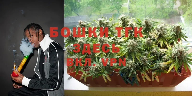 Канабис Bruce Banner  Полярные Зори 